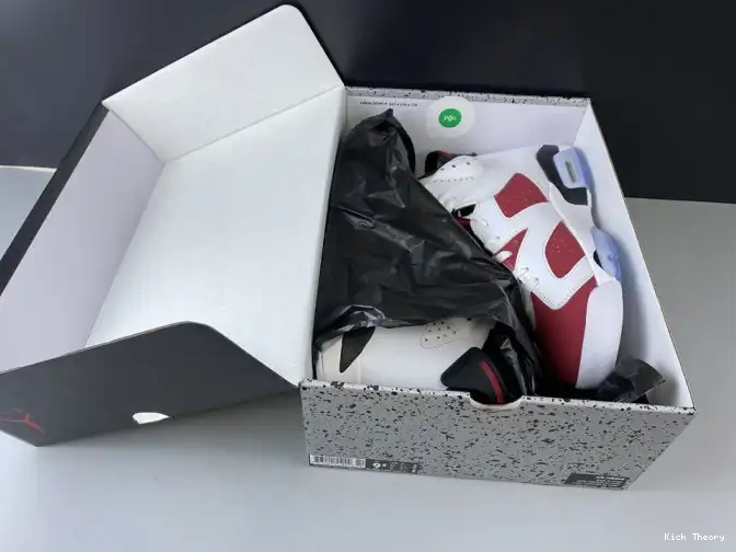 Kick Theory RETRO 2014 JORDAN 6 384664-160 AIR 'CARMINE' 0503
